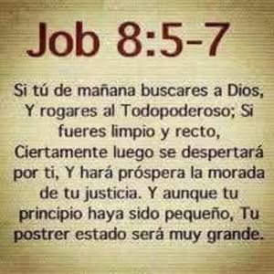 Meet your Posher, Daniela garcia